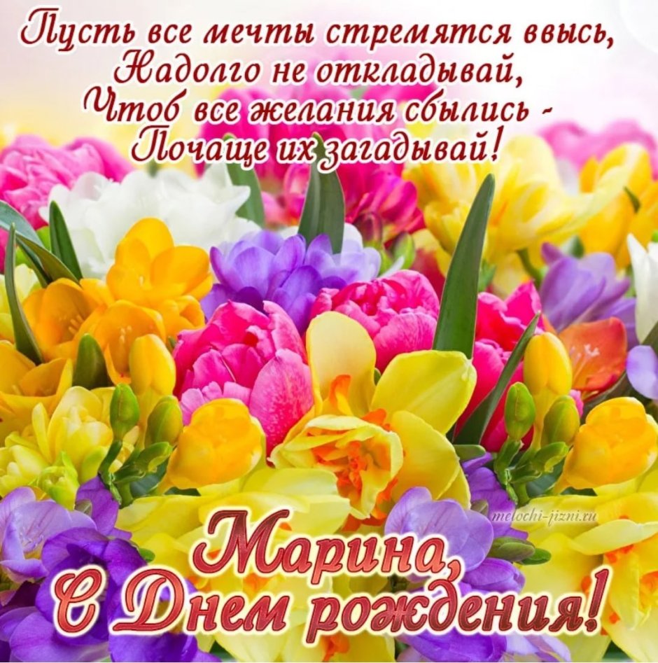 Поздравления с днём рождения Марина Борисовна