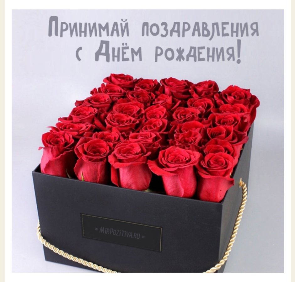 Поздравить розу с днем рождения