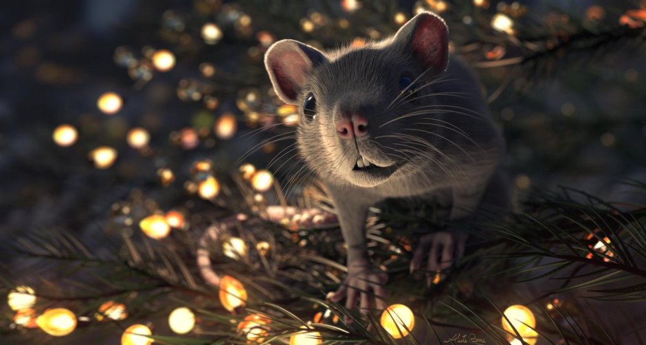 Крысы в новогодних шапках