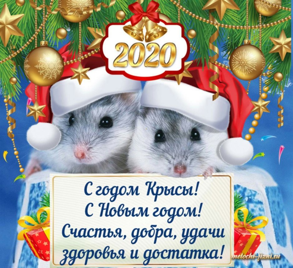 Новогодние зверьки крысы
