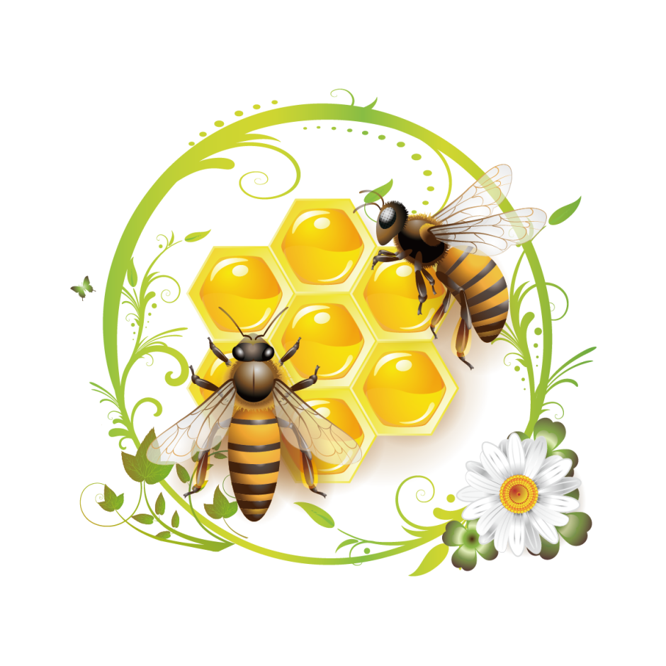 Часы Веронезе пчела