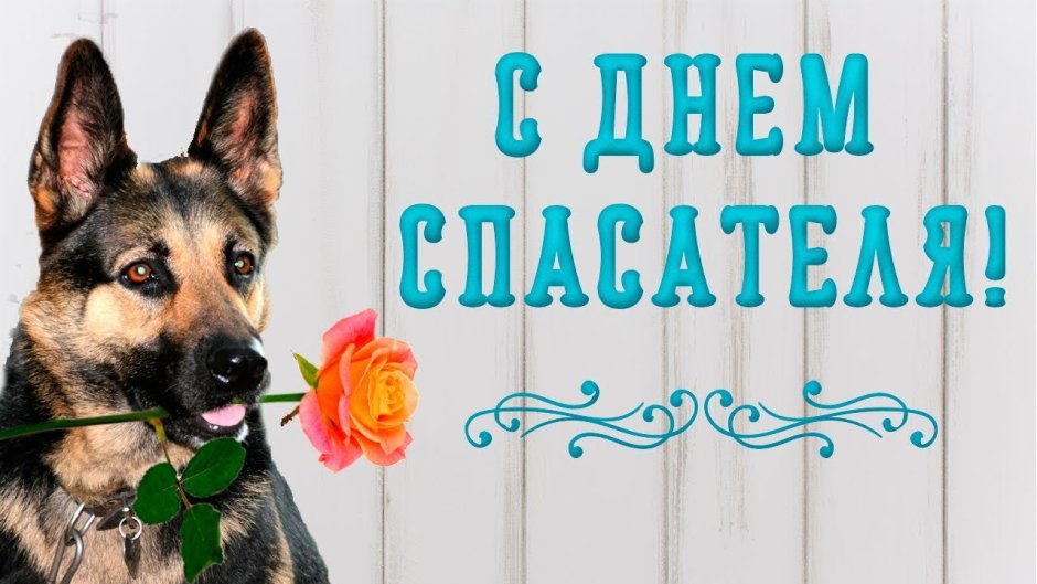 День спасателя