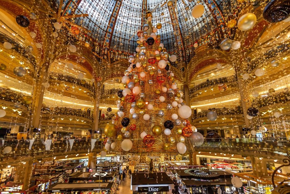 Полено на Рождество во Франции