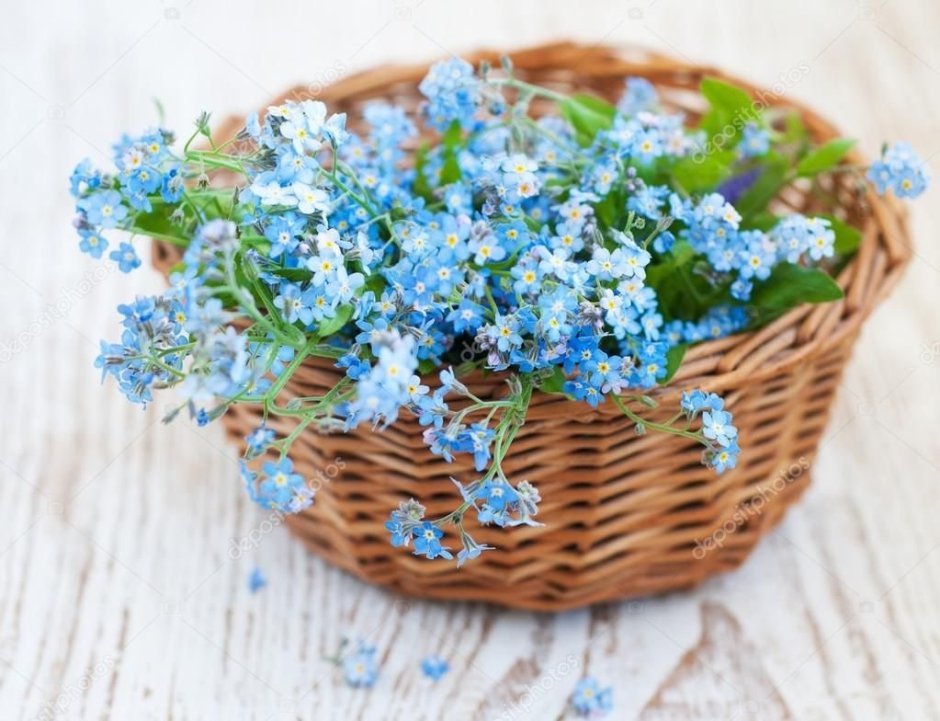 Мелкие голубые цветочки в корзине.
