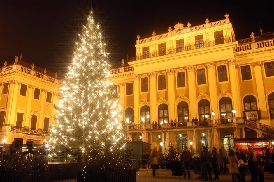 Рождественская елка Вена
