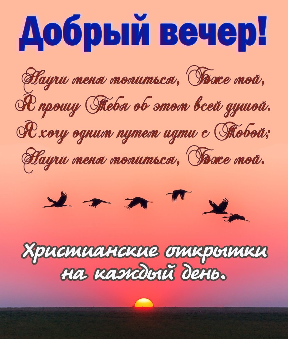 Птицы в небе