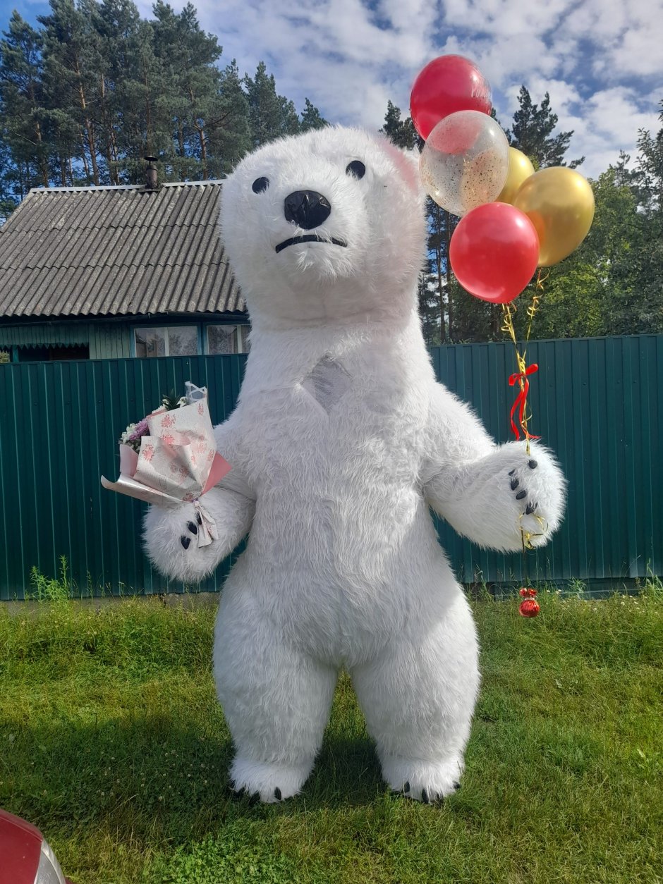 Happy Birthday медведь