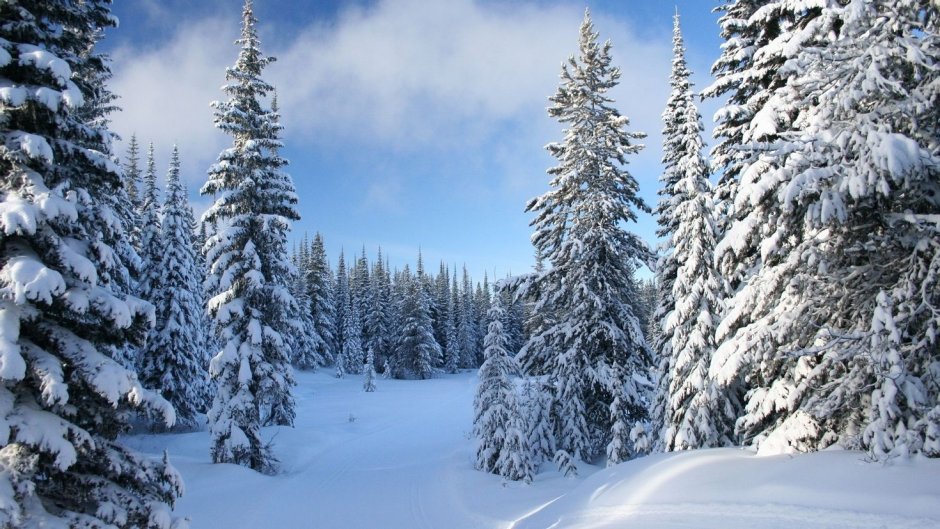 Зимний лес со снеговиком