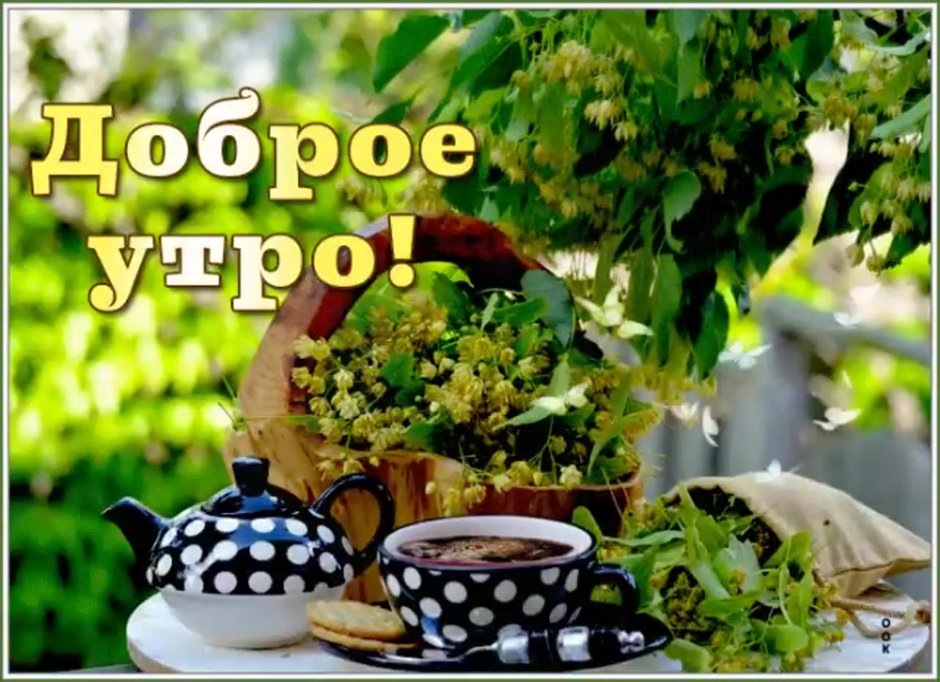 Доброе утро хорошего дня природа