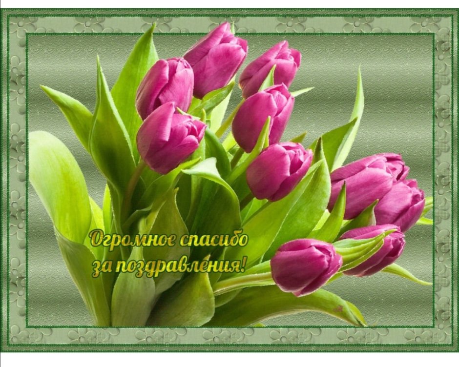 Нежный букет тюльпанов с 8 марта