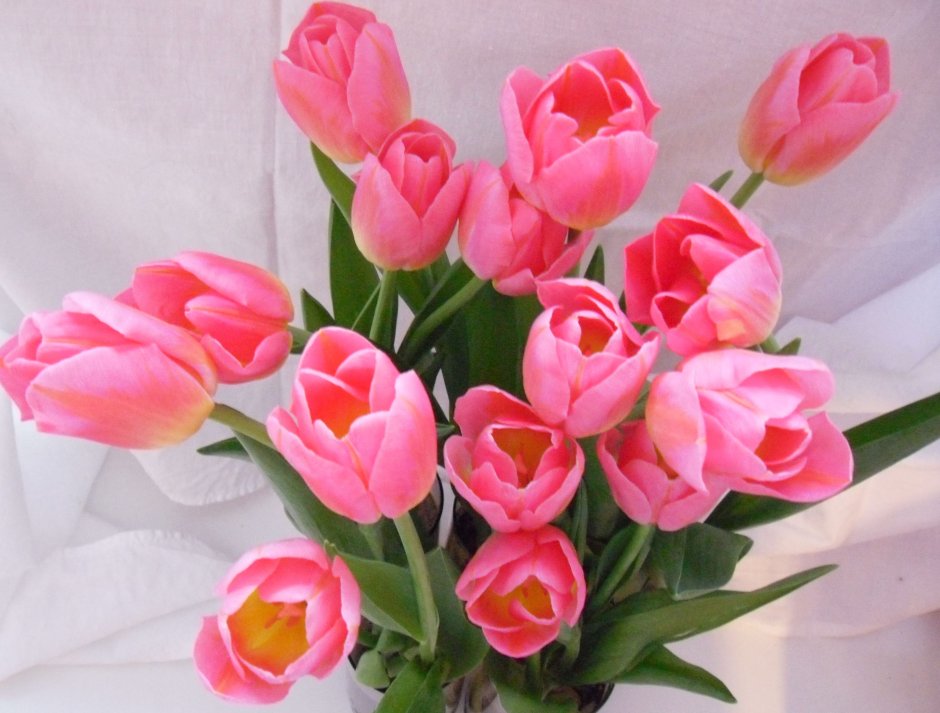С наступающим 8 марта тюльпаны