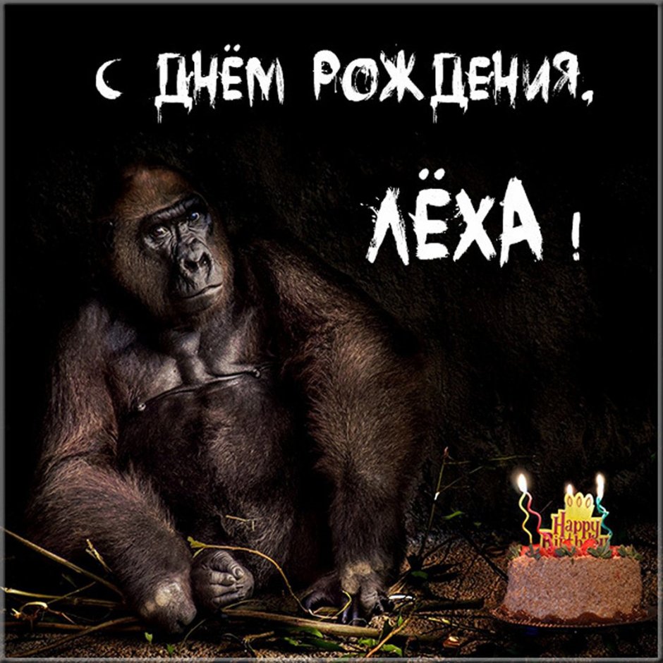 С днём рождения Алексейи