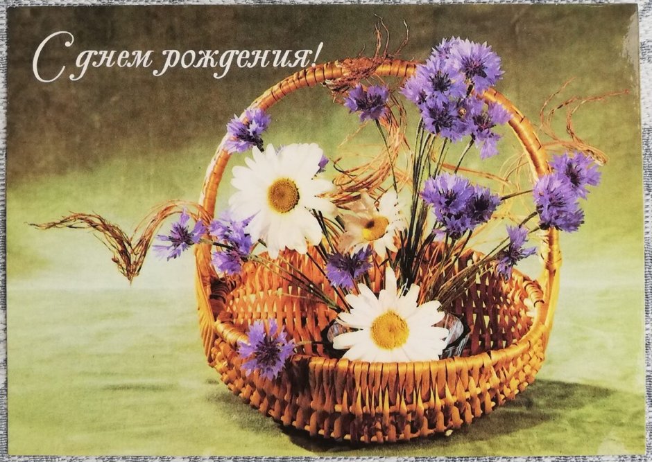 С днем рождения открытка ромашки васильки