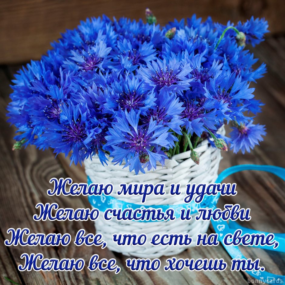 Открытка мини «Светлой Пасхи», васильки, 7*10 см, 1 шт купить в Белгороде