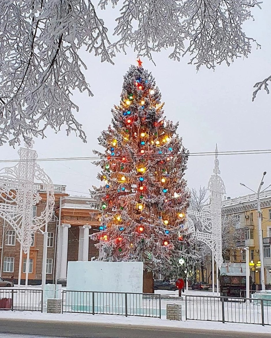 Новогодняя елка Курск на красной площади