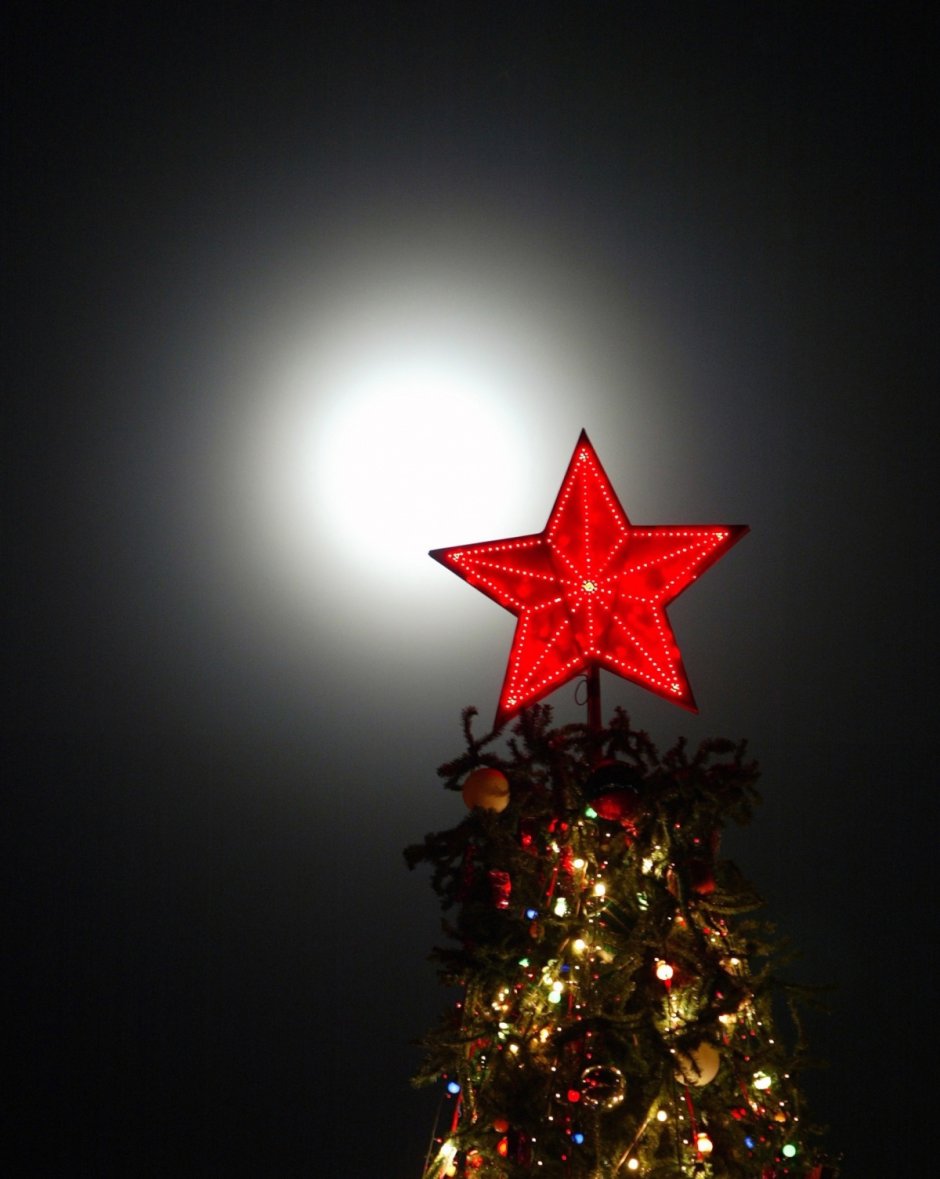 Рождественская елка с Вифлеемской звездой