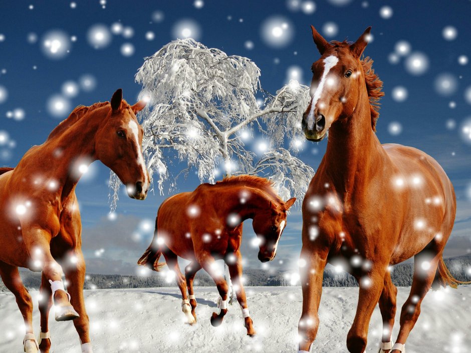 Новогодние лошади арты