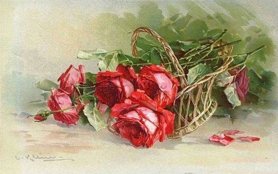 Катарина Кляйн розы