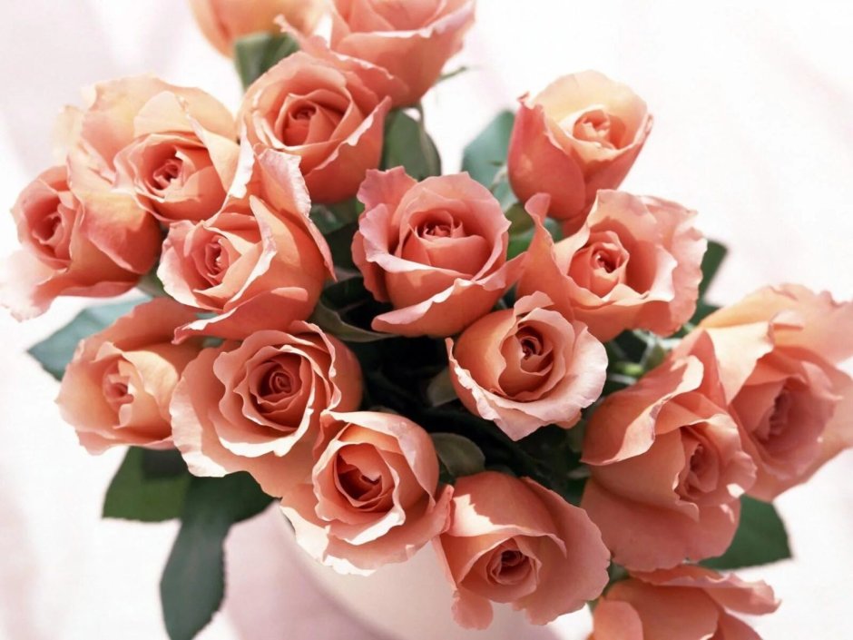 Цветы розовые розы букет