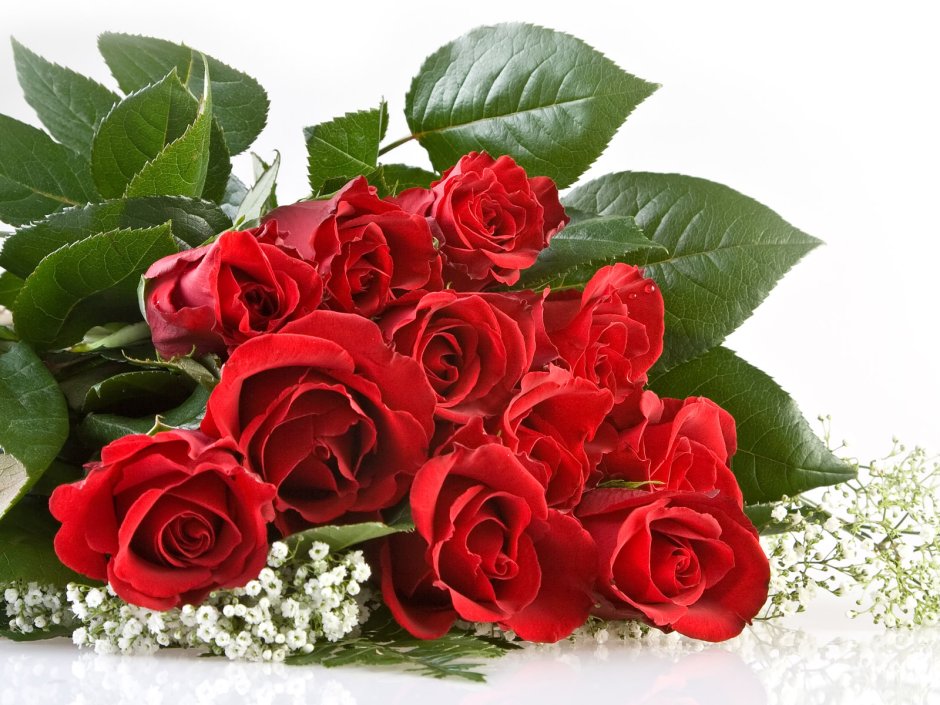 Розы для шикарной дамы