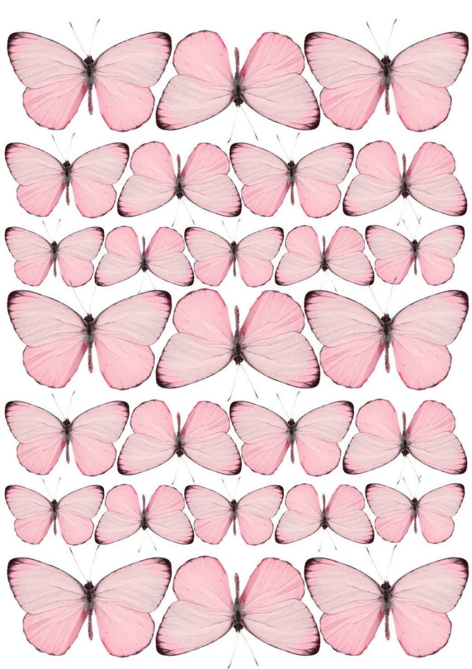 Капкейки с бабочками из вафельной бумаги