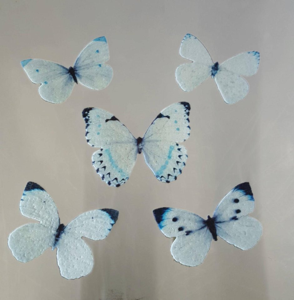 Бабочки для печати