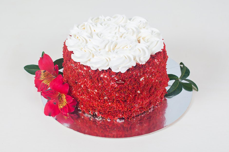 Торт красный бархат одноярусный с белыми цветами