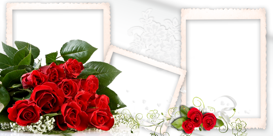 Рамки с розами для фотошопа на прозрачном фоне