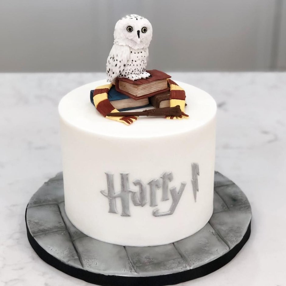Harry Potter Cake Birthday sova Print