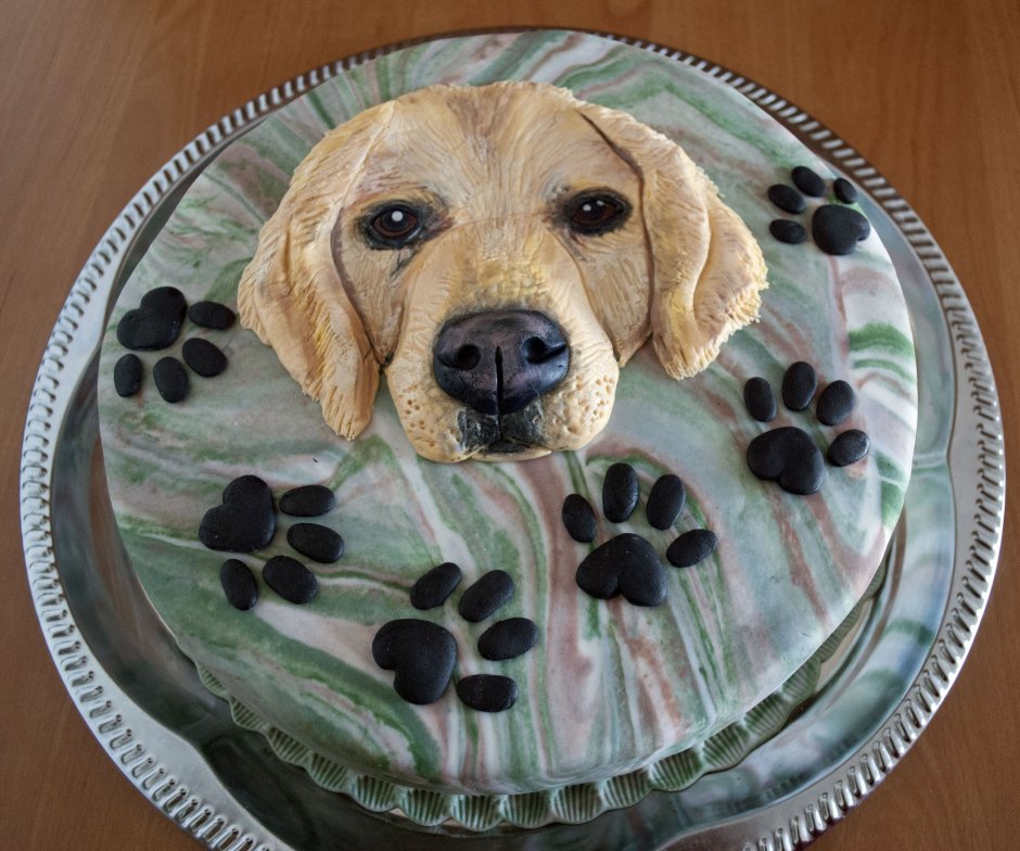 Торт для собаки на день рождения лабрадор