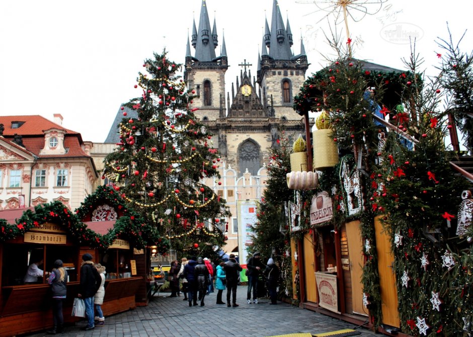 Рождество Прага елка