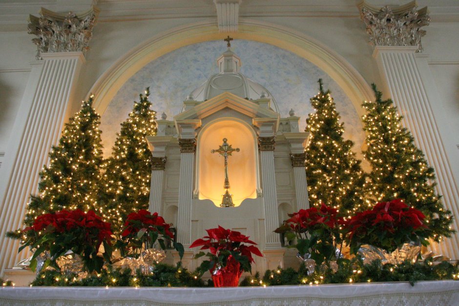Рождество Христово католический костел на малой грузинской