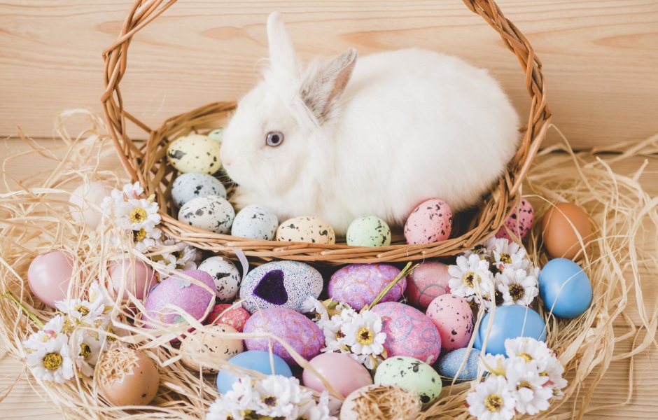 Пасхальный кролик с яйцами