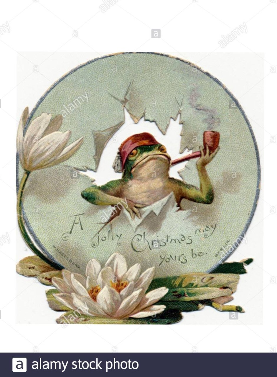 Лягушка Винтажная открытка