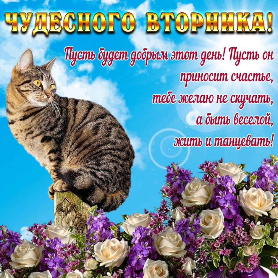 Зимние пожелания