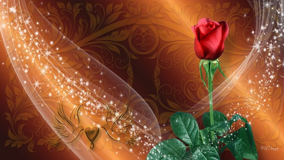 Роза в Исламе символ