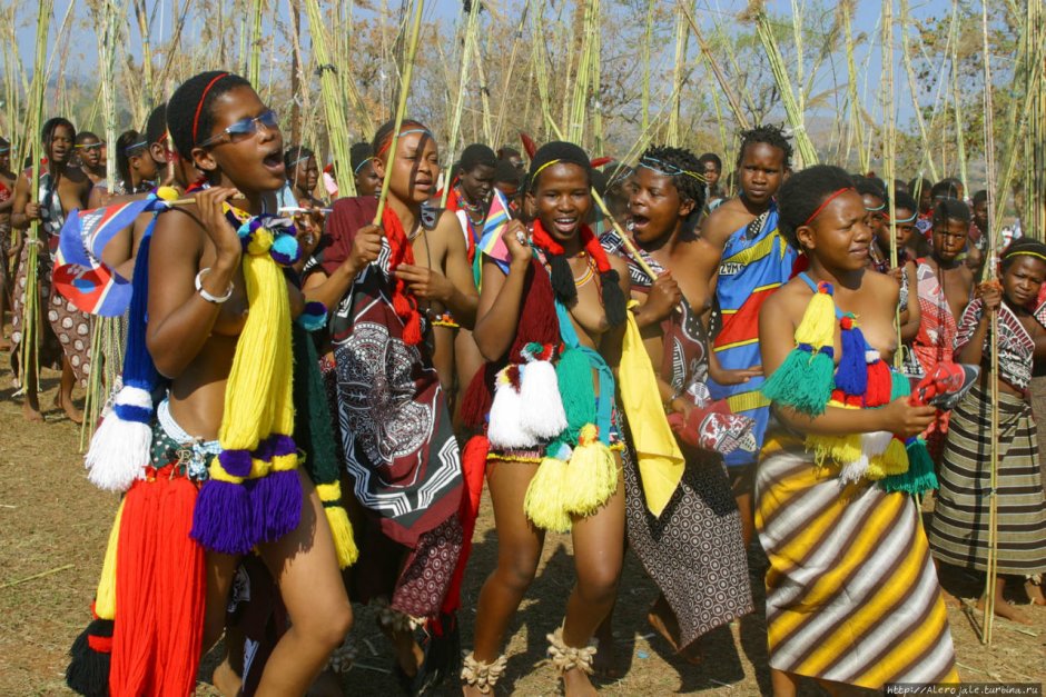 Народы Африки Зулусы танец