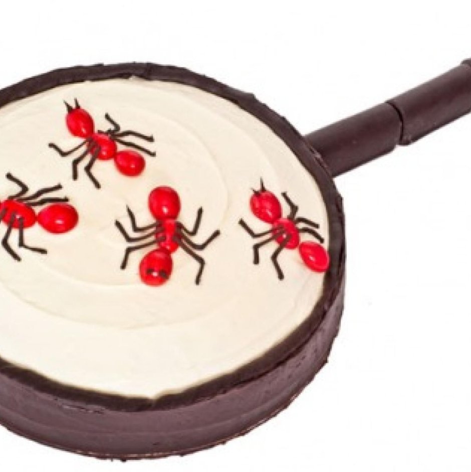Торт с насекомыми