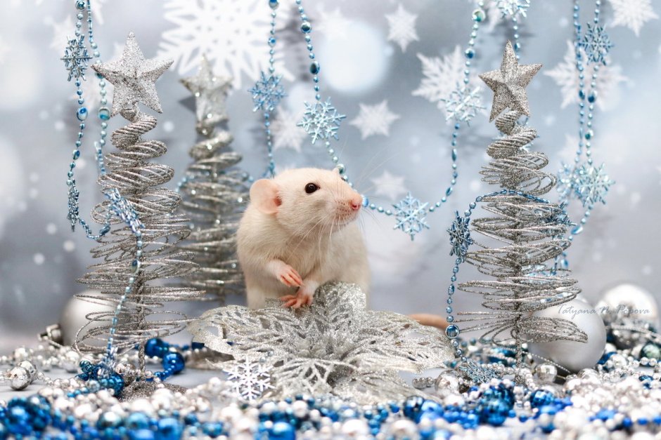Рождественский мышонок