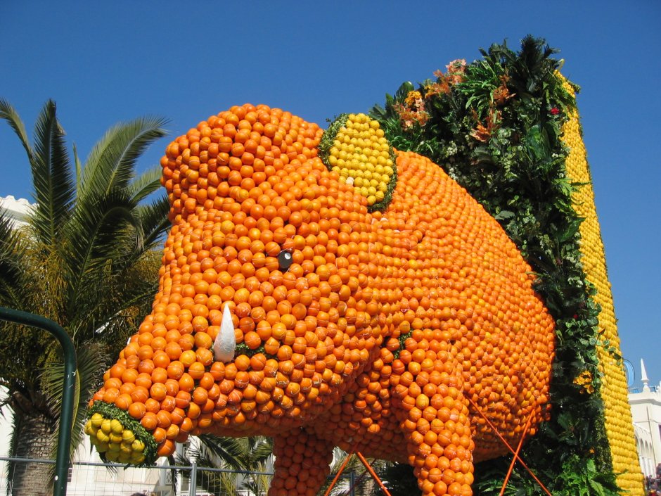 Фестиваль цитрусовых в Ментоне мандарин