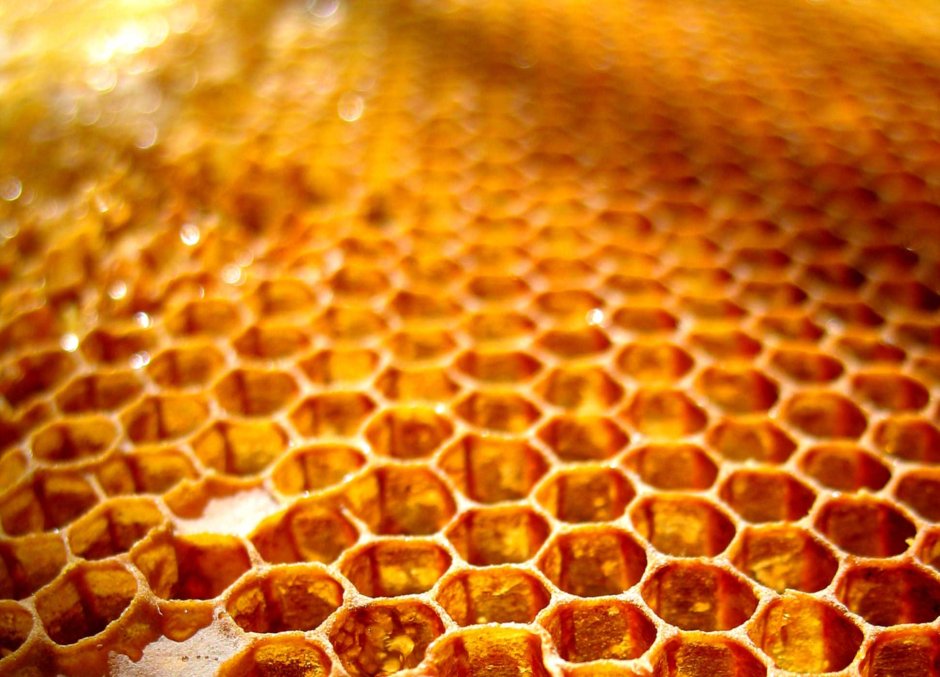 Гречишный липовый и цветочный мед