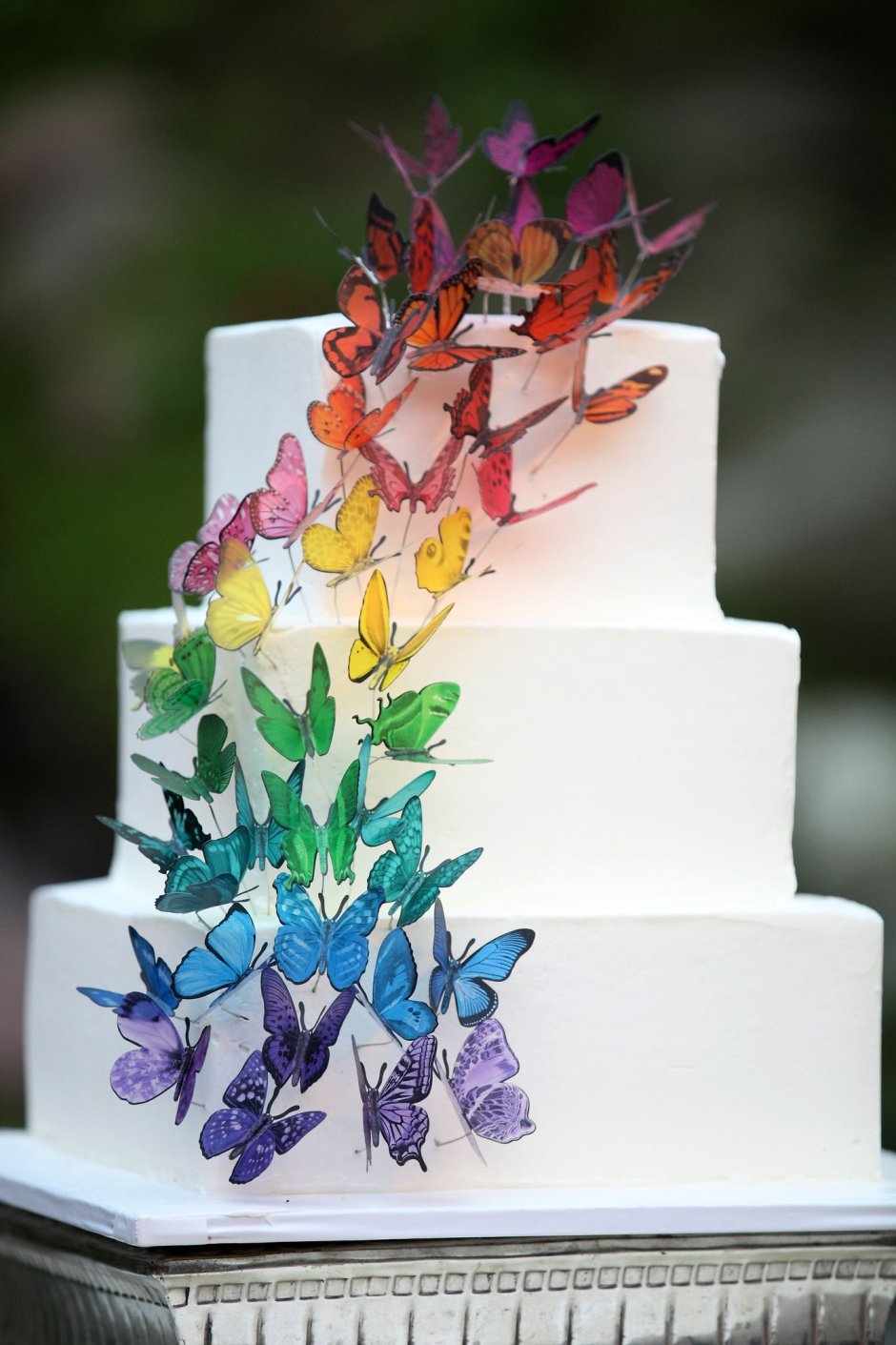 Квадратный торт с бабочками