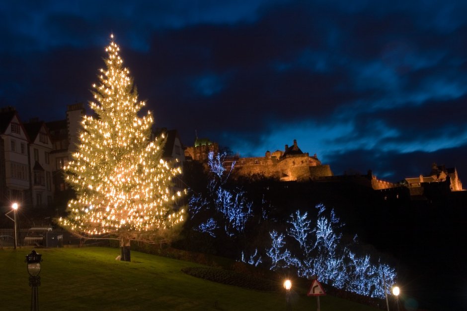 Новогодняя елка в Шотландии