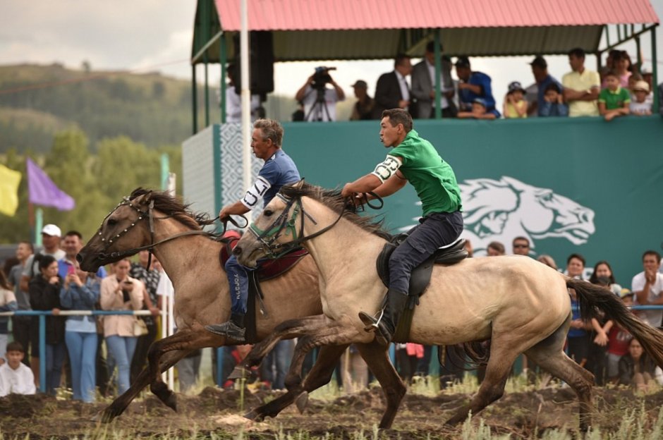 Фестиваль Башкирская лошадь