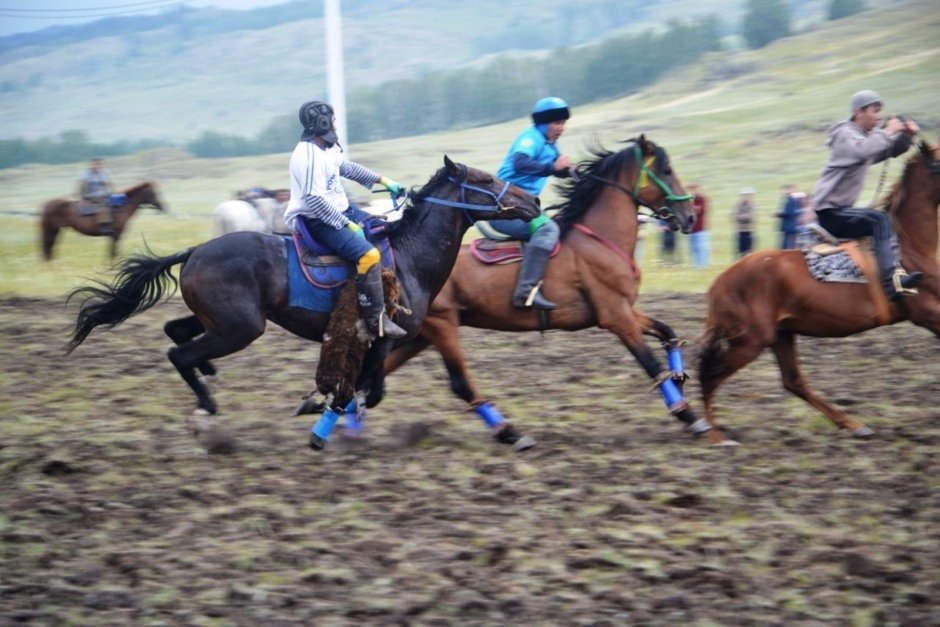 Фестиваль Башкирская лошадь