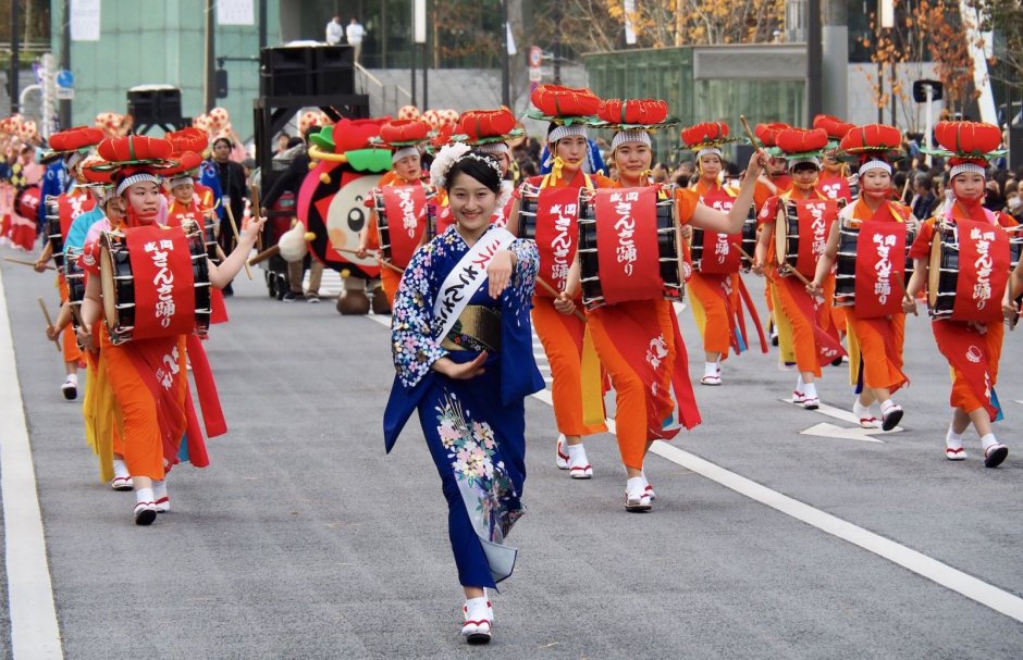 О-Ханами — фестиваль цветения и любования сакурой в Японии