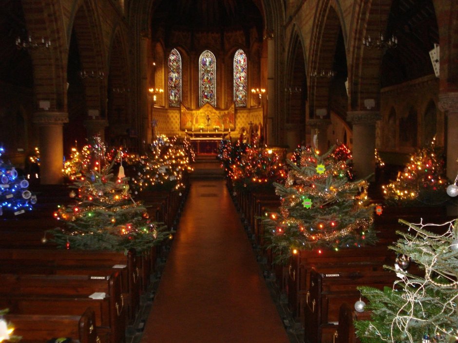 Католическое Рождество костел орган