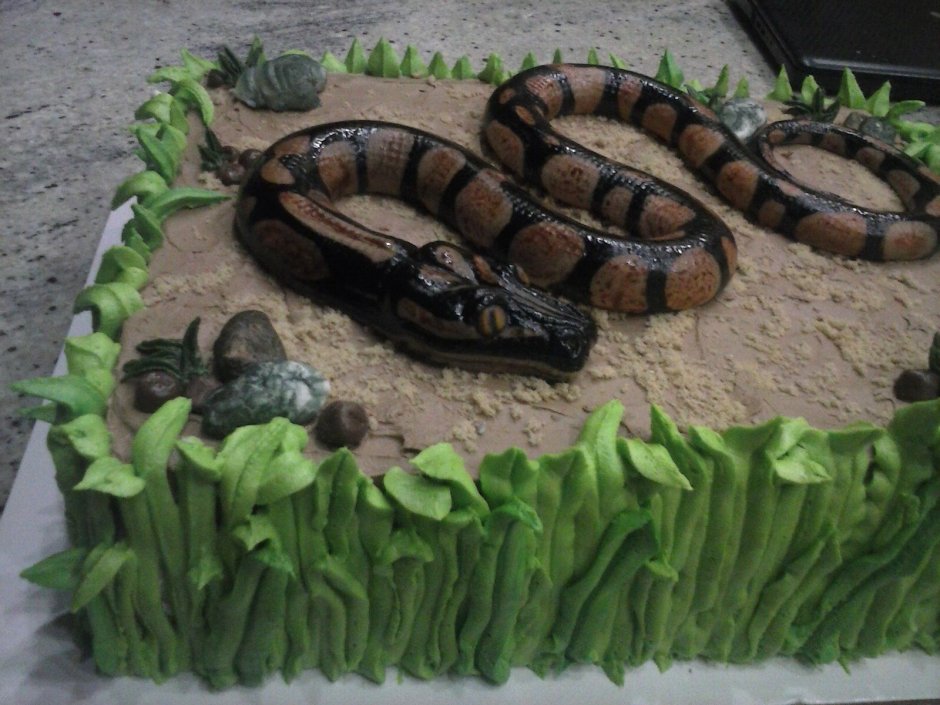 Торт большой со змеей