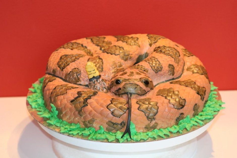 Торт с насекомыми и змеями