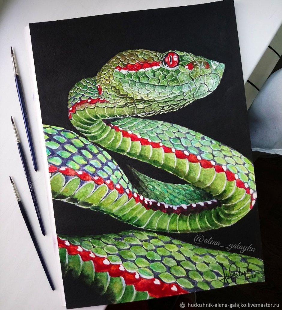 Картины со змеями